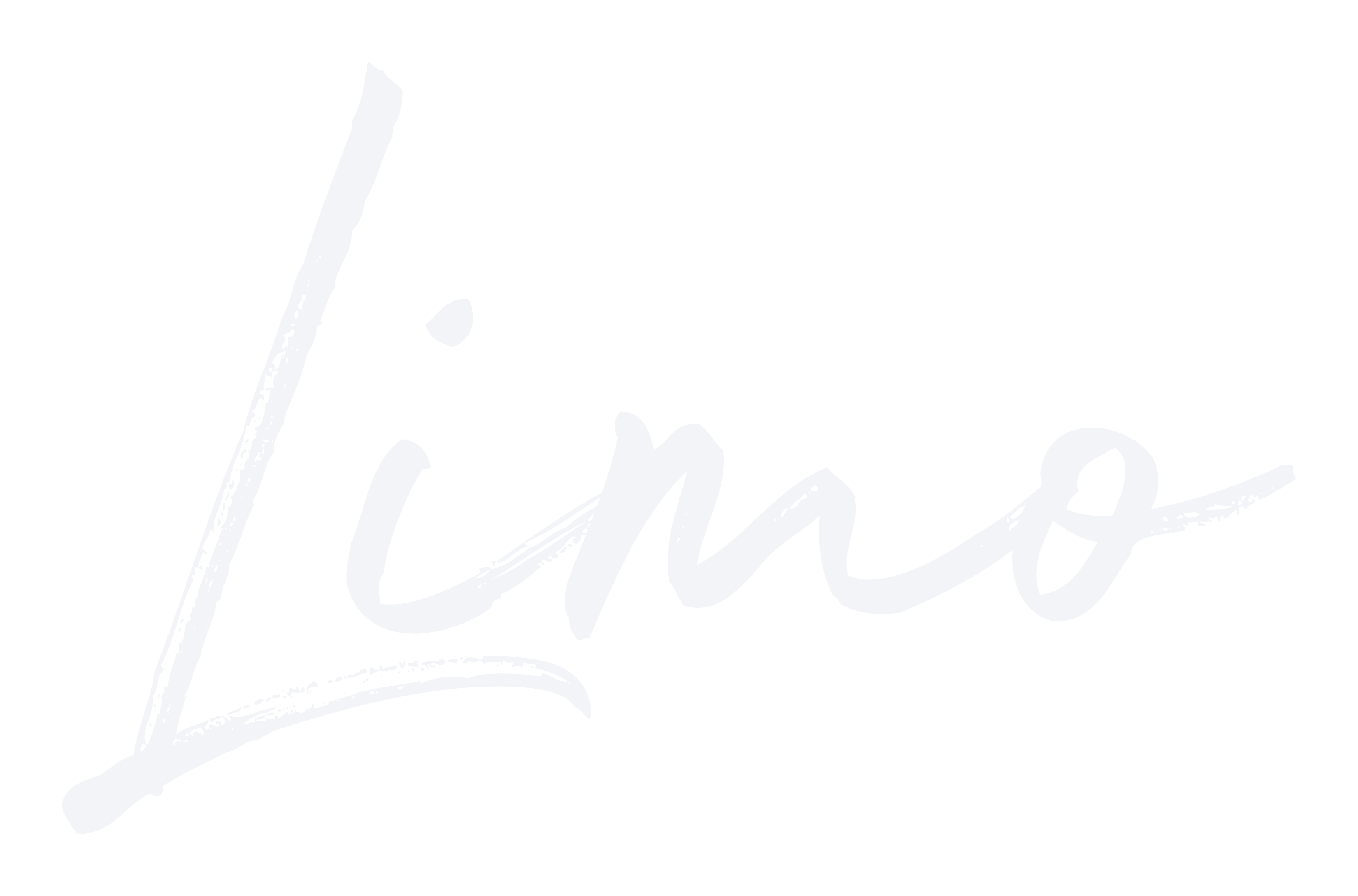 LIMO STORE